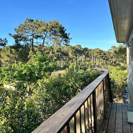 Charming House Terrace Quiet Garden - Piquey